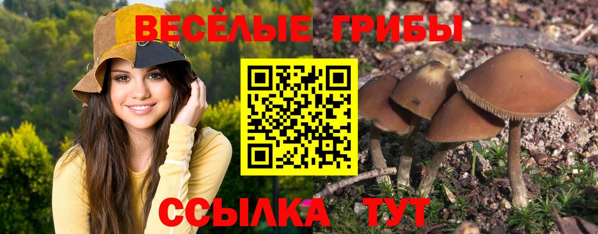 Галлюциногенные грибы ЛСД  Псилоцибиновые грибы Psilocybe  Елабуга 