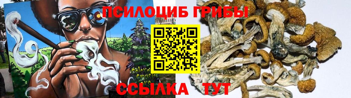 Галлюциногенные грибы Psilocybine cubensis  что такое   Галлюциногенные грибы Cubensis  Елабуга  Вход с VPN 