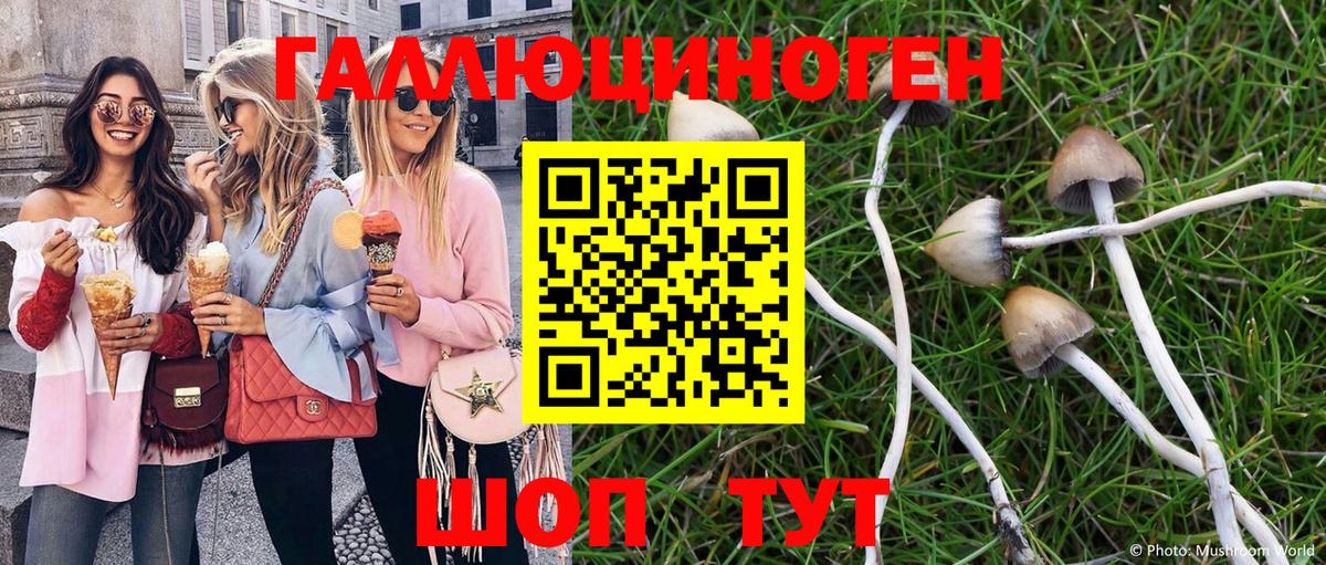 Галлюциногенные грибы мицелий Елабуга