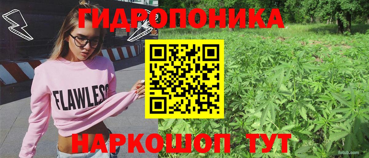 Бошки марихуана SATIVA & INDICA  Канабис Bruce Banner  Вход с VPN  Бошки марихуана Ganja  Елабуга 